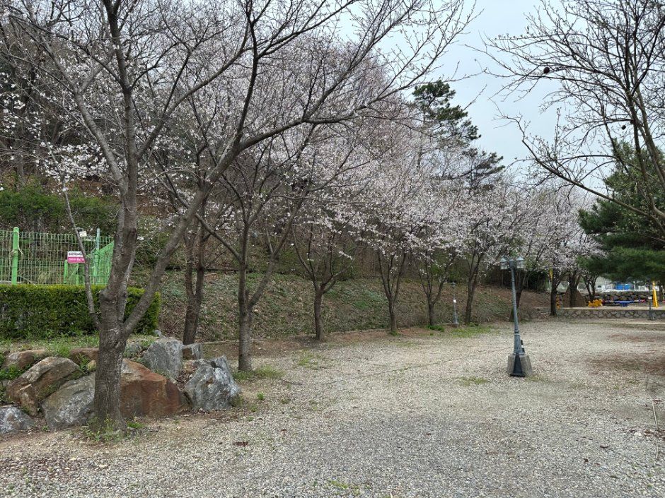 파주_캠프예그리나 (9).jpeg