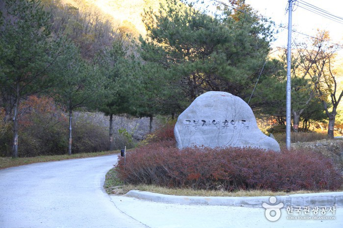 경북_의성_금봉자연휴양림02