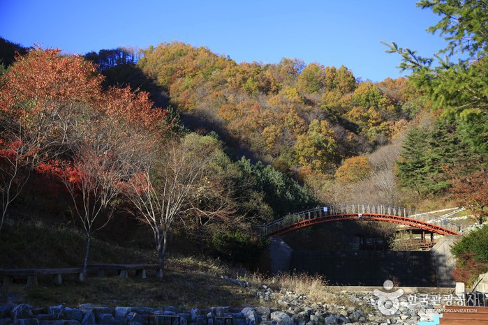 경북_의성_금봉자연휴양림05