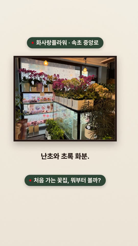 화사랑플라워 — 처음 가는 사람을 위한 안내