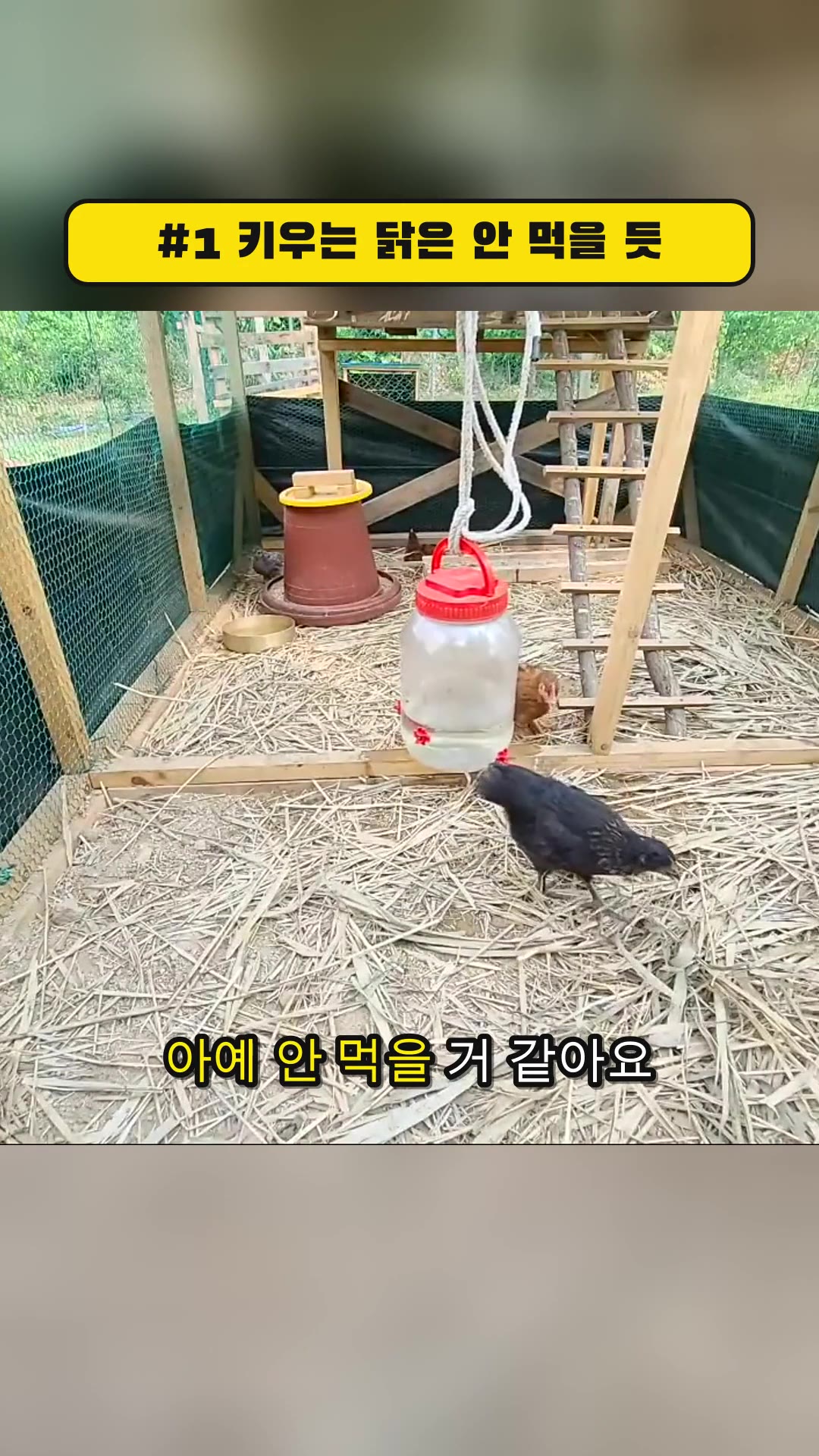 나는 시골사람이다 — 하이라이트