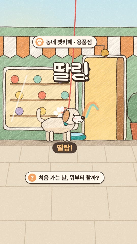 코가 먼저 아는 곳