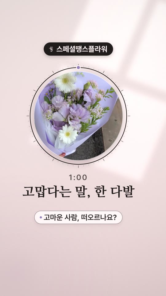 스페셜땡스플라워 (Special Thanks Flower) — 그곳에서 보내는 한 시간