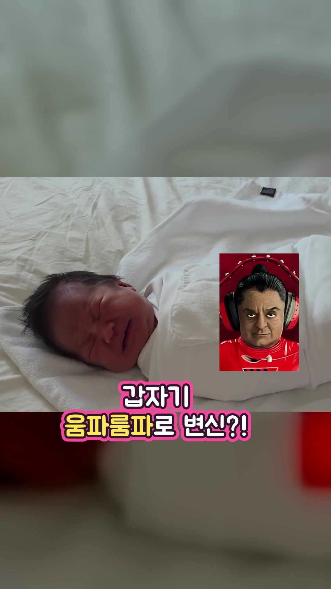 뜨개질하고 남이해준 밥만먹는 브이로그 — 하이라이트