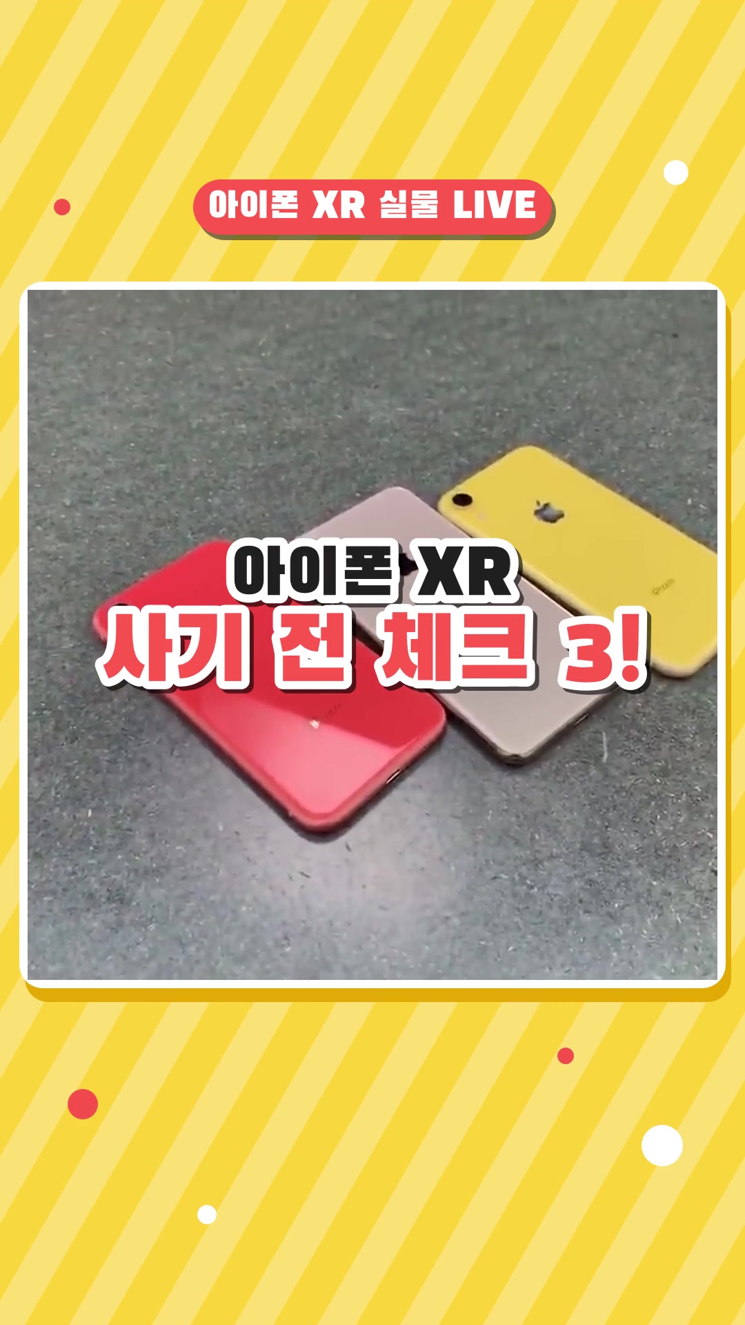 [라이브] 아이폰 XR 보실 분??? — 하이라이트