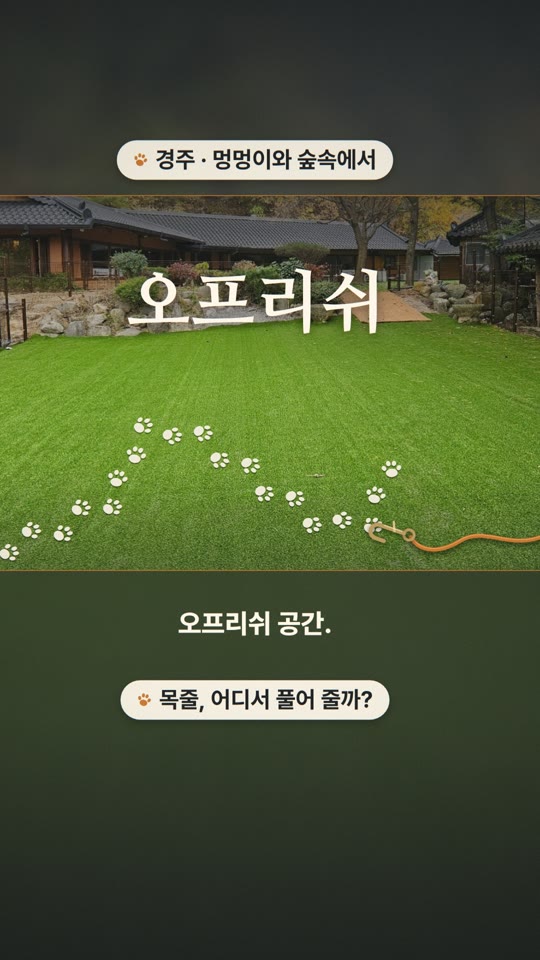 멍멍이와 숲속에서(わんちゃんと森の中で) — お店のストーリー