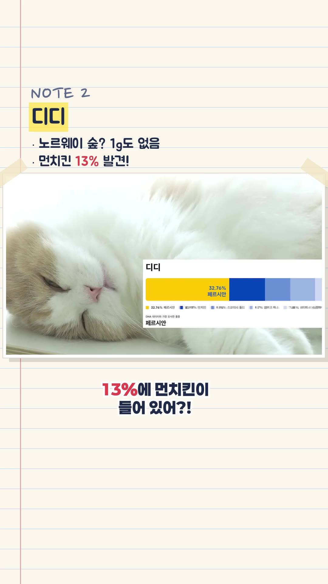 うちの猫たちの衝撃的な正体が明らかになりました — ハイライト