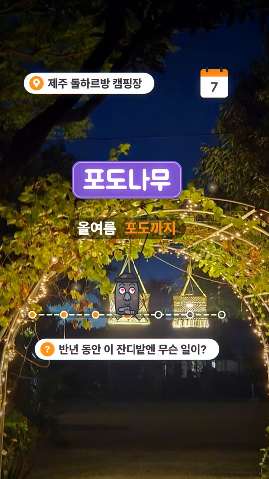 제주 돌하르방 캠핑장 — 공간 둘러보기