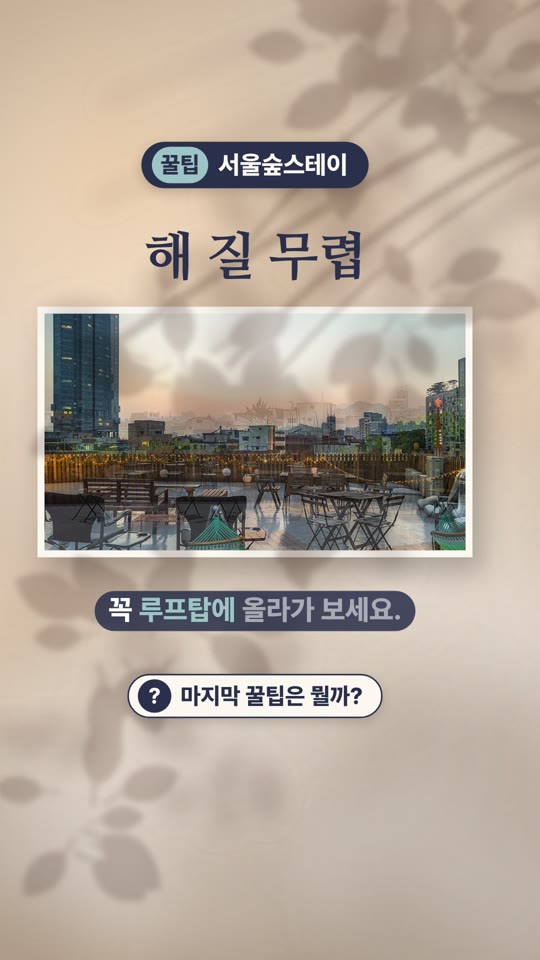 ソウルの森ステイ (Seoul Forest Stay) — ここで必ずやりたいこと